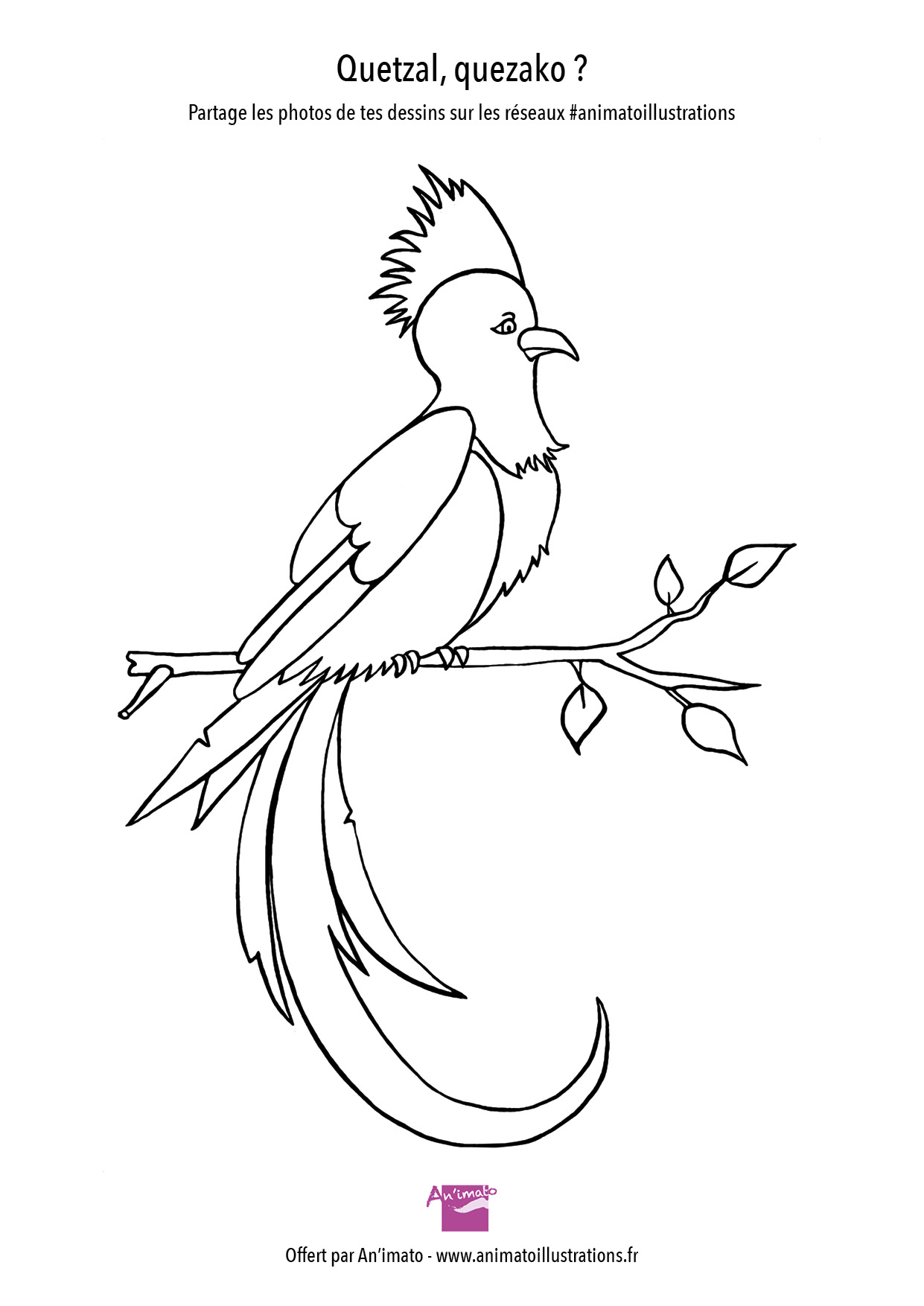 GRATUIT coloriage oiseau à télécharger offert par An'imato