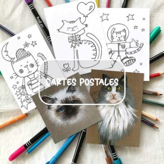 accueil menu site internet An'imato animatoillustrations.fr section activités cartes postales